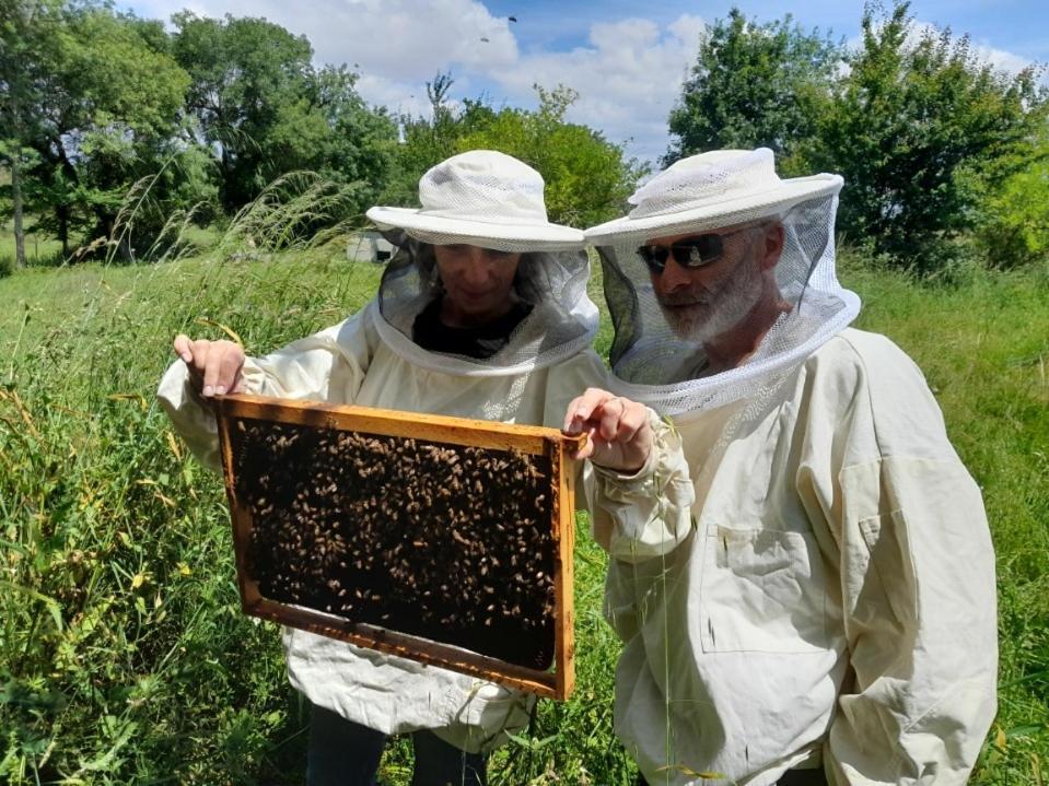 莱斯帕尔梅多克Domaine Des Quatre Terres别墅 外观 照片